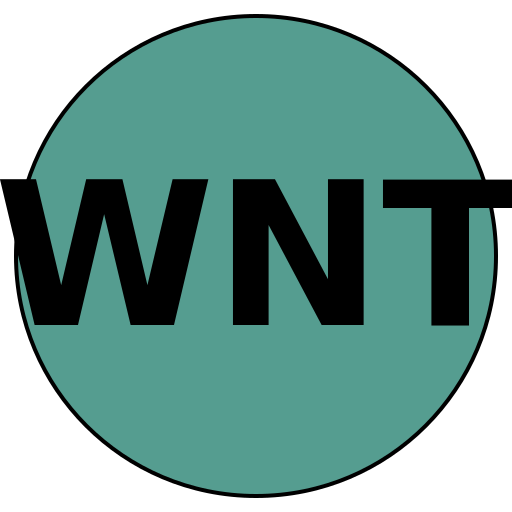 WhizNet Travel